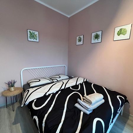 Coroama'S House Leilighet Iasi Eksteriør bilde
