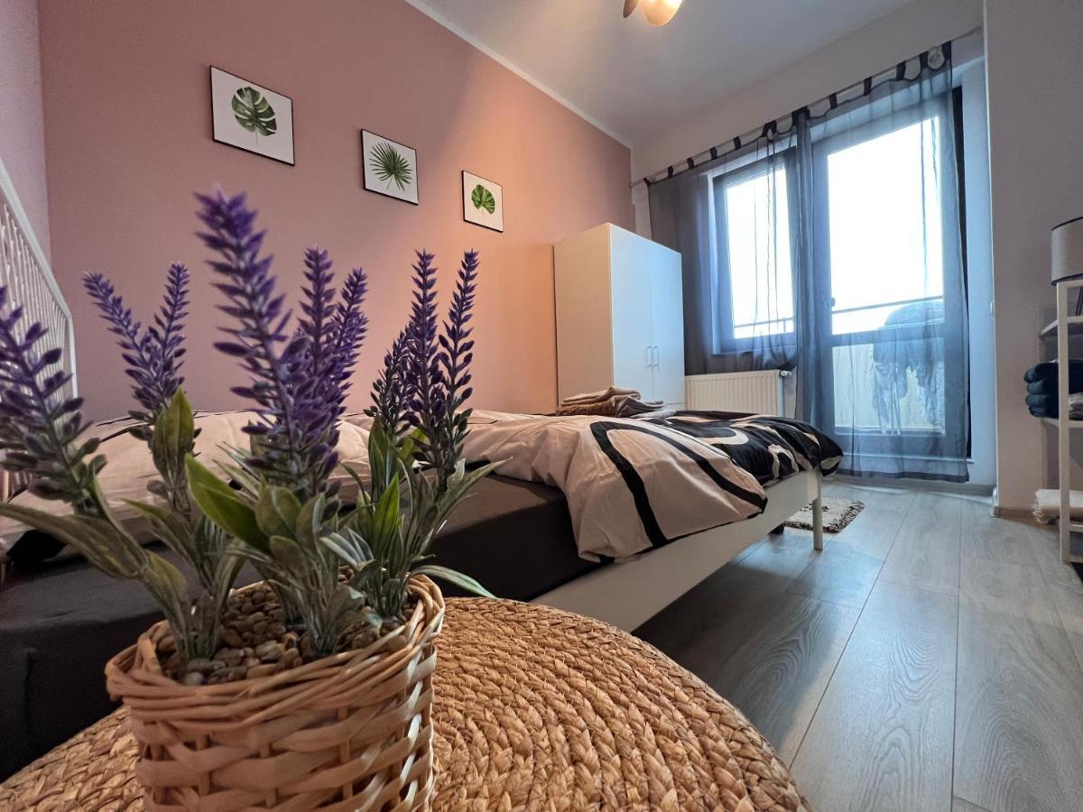 Coroama'S House Leilighet Iasi Eksteriør bilde